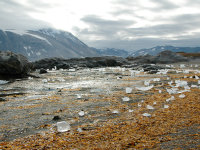 Spitsbergen -24