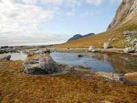 Spitsbergen -25