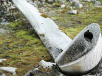 Spitsbergen -30
