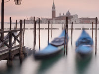 Venice 2018 -18
