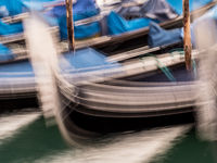 Venice 2018 -19