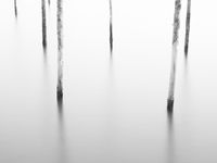 Venice 2018 -24