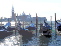 Venice 2019 -18