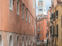 Venice 2019 -1