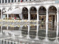 Venice 2019 -20