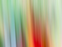 Virginia Creeper, Intentional Camera Movement