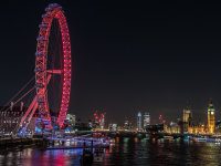 Westminster -4