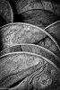 Hakart-16