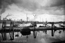 Tacoma Waterfront #6