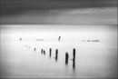 Pilmore Groynes