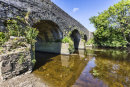 3. Lisheen Bridge, Farrankeal