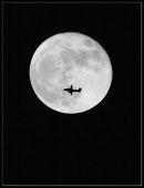 Moonflight