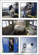Dursey Island Cable Car
