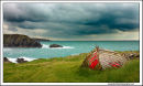 On Galley Head