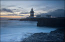Hook Head Nov 10 #3