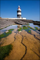 Hook Head March 11 #1