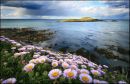 Ballycotton