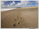 The Long Strand