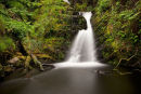 O'Sullivan's Cascade, Killarney
