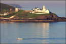 Roches Point