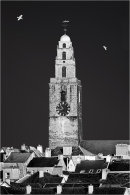 Shandon