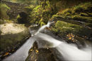 Torc River with Bridge