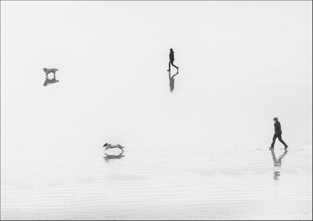 Walking the Dogs
