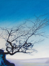 Reaching for Spring, Hawthorn at Hadrians Wall