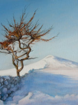 A Winters Day, Roseberry