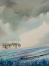 Winters Cloak on the Elephant Trees