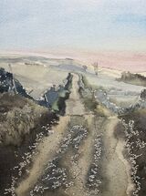 ‘On the Pennine way, near Pen-y-Ghent’