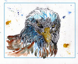 Eagleweb