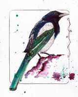 Magpie