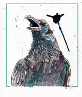 Raven02web