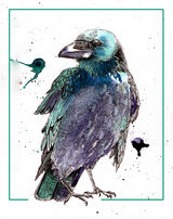Raven03web