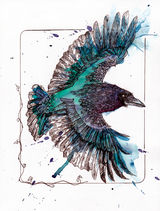 Raven05