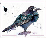 crowweb