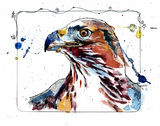 Hawk