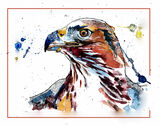 hawk00web
