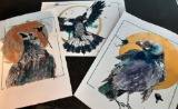 Special Edition Prints