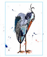 heron01web