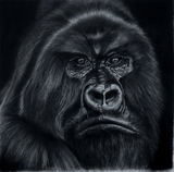 Kong (sold)