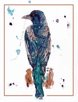 magpie03web