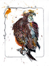 Osprey