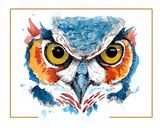 Owl02