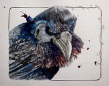 Raven01