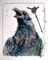 Raven02