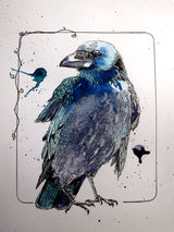 Raven03