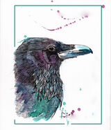 raven05web