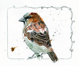 Sparrow